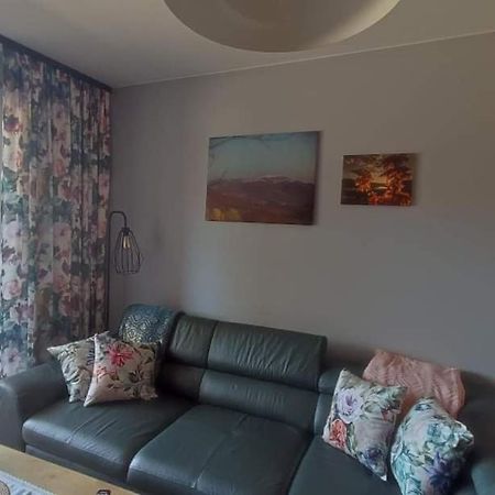 Lux Apartament Odkryj - Bieszczady Ustrzyki Dolne Luaran gambar