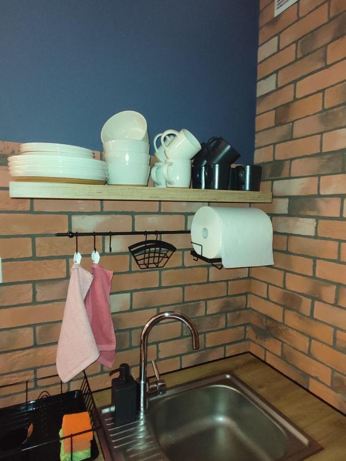 Lux Apartament Odkryj - Bieszczady Ustrzyki Dolne Luaran gambar
