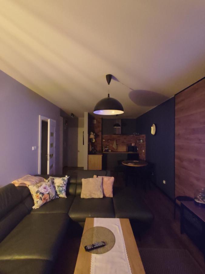 Lux Apartament Odkryj - Bieszczady Ustrzyki Dolne Luaran gambar